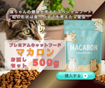 キャットフード販促バナー