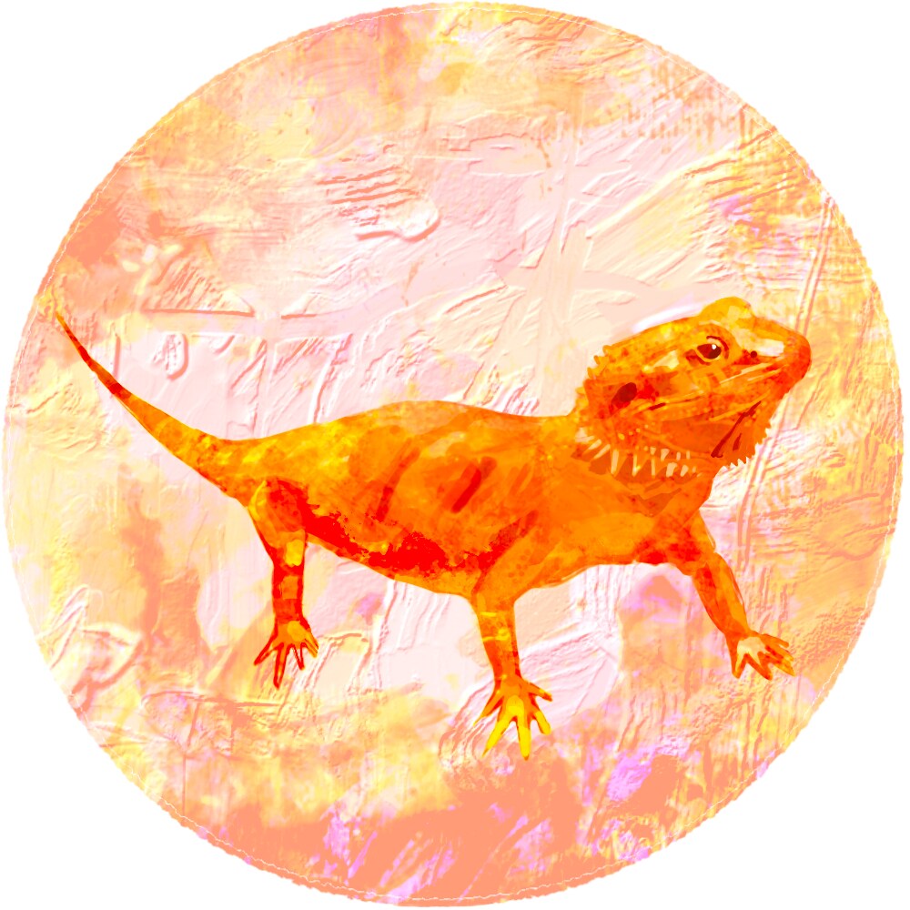 フトアゴヒゲトカゲ