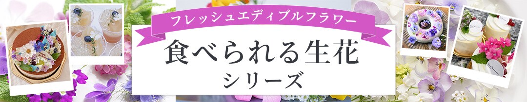 楽天市場のショップ用バナー