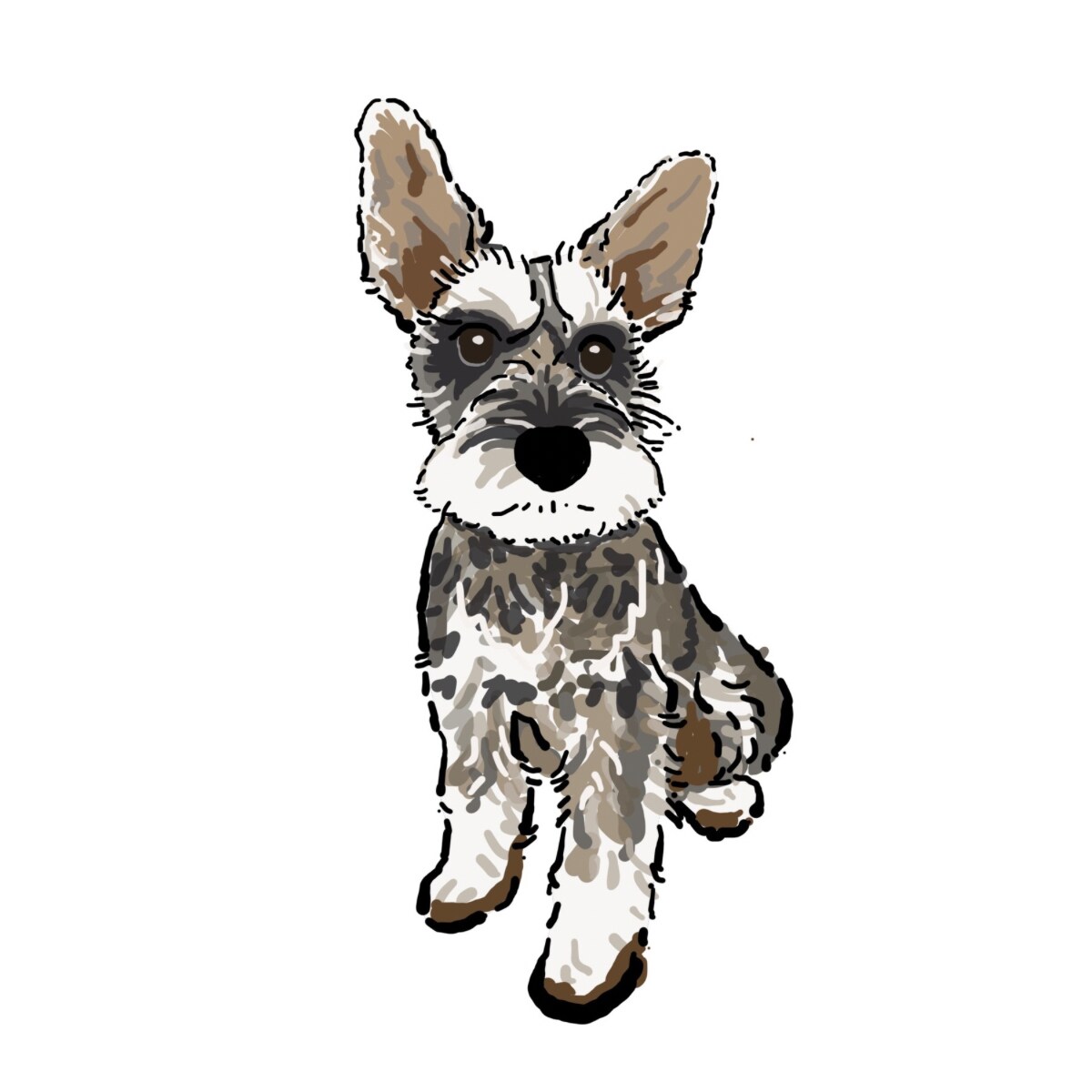 ミニチュアシュナウザーの似顔絵