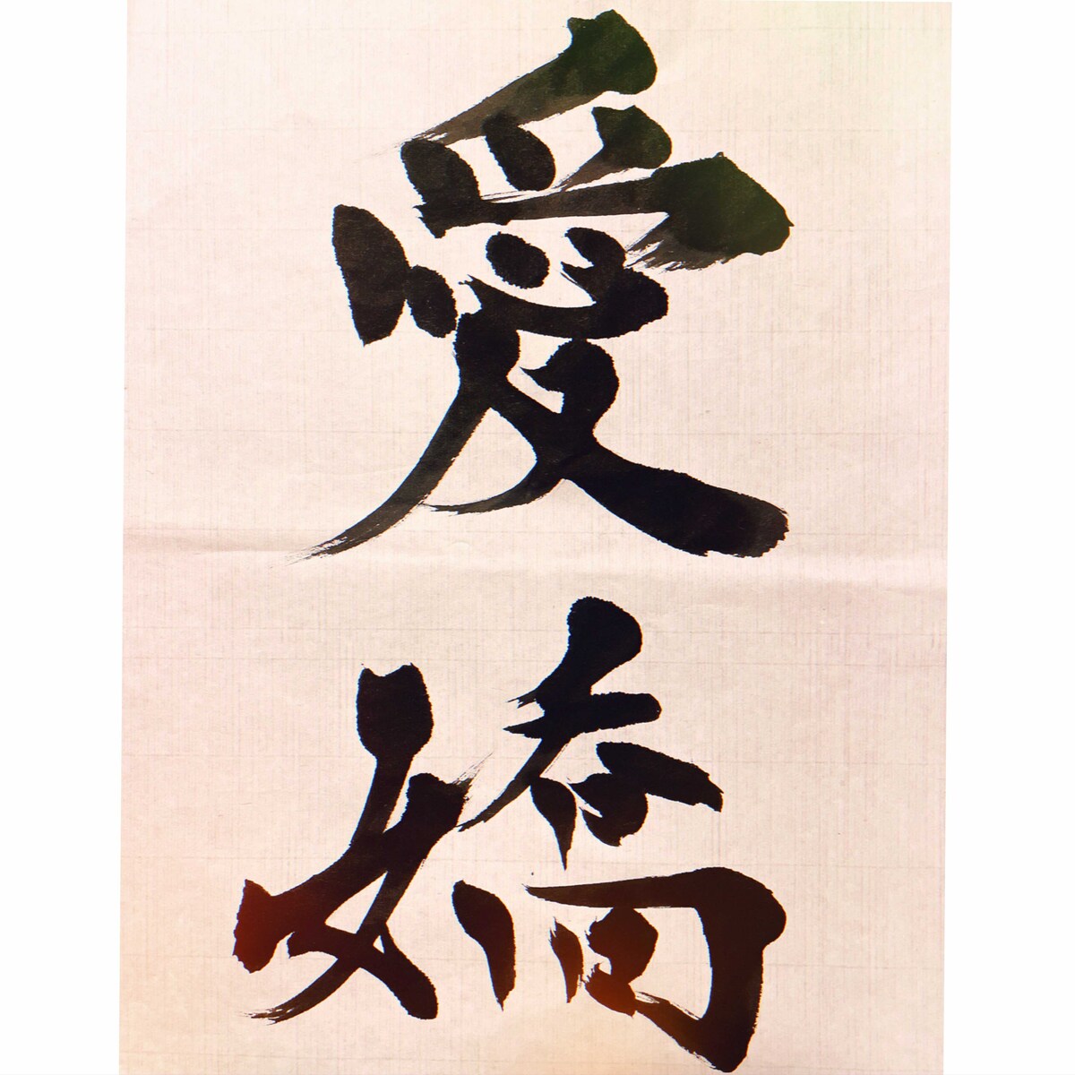 サザンカ（白）の花言葉
