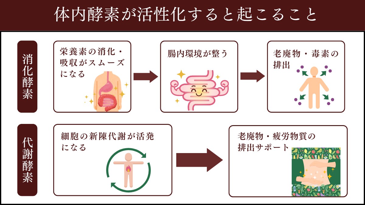 図解制作