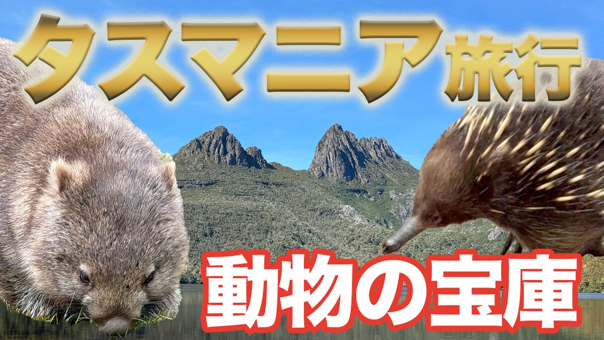 サムネイル：タスマニア