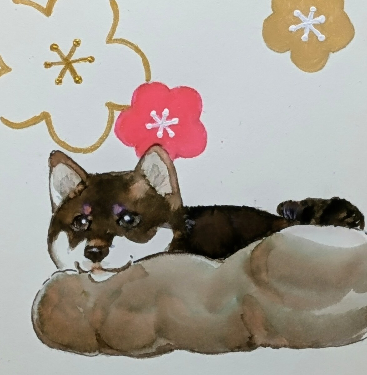 雲に乗る