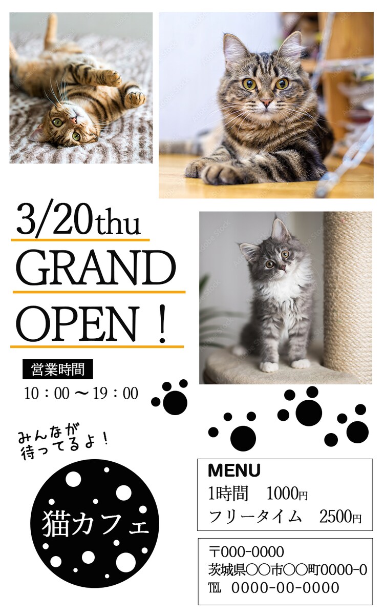 猫カフェグランドオープン