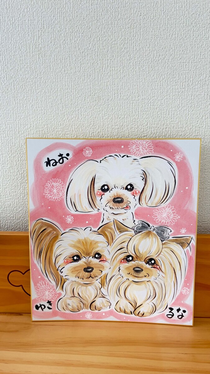 先代犬ちゃんと今の子✨