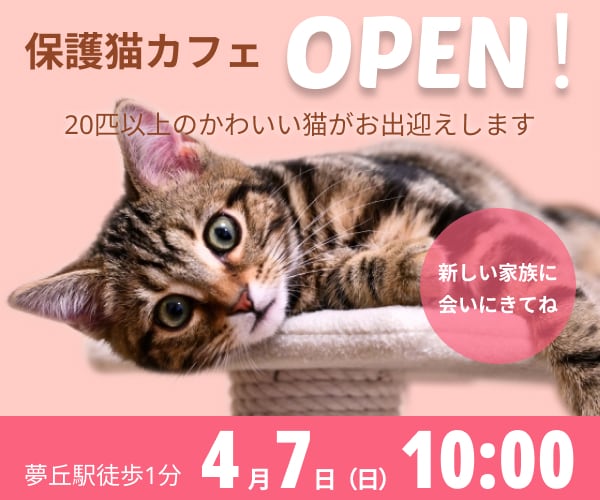 パープル猫さん専用ページ パープル猫さん専用ページ
