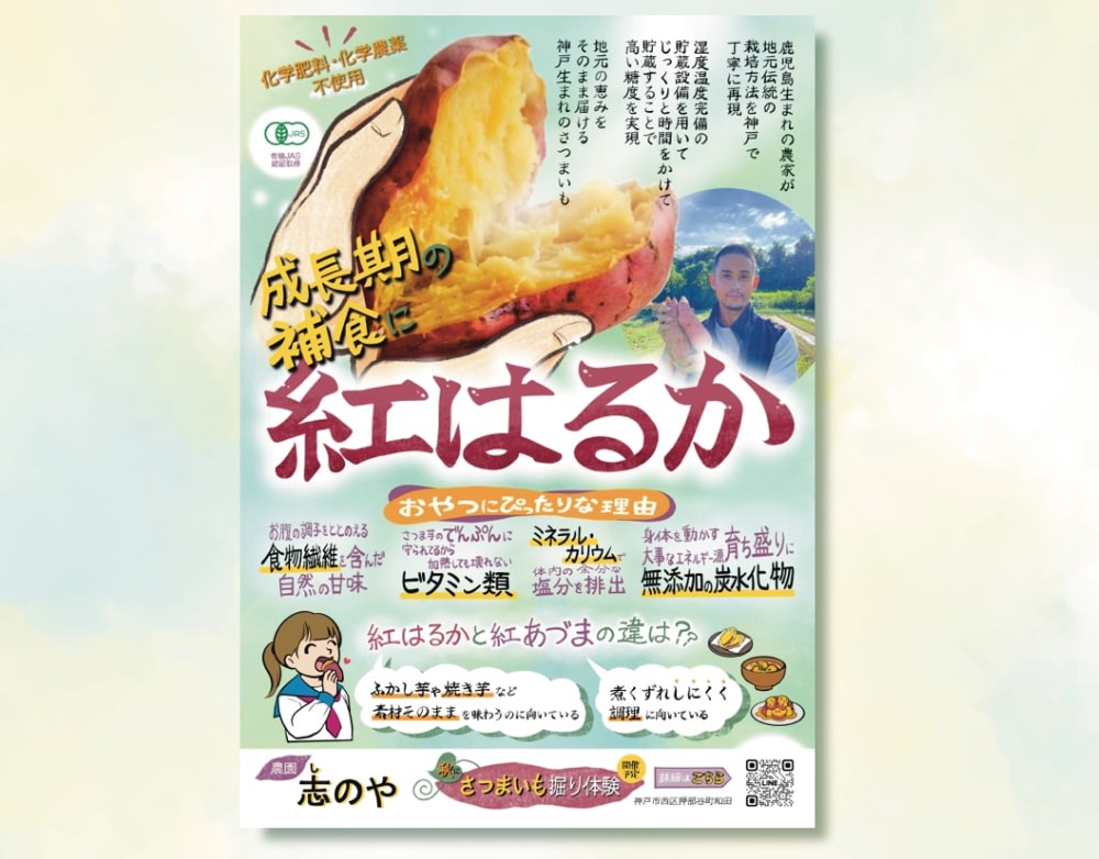 農園・さつまいもチラシ