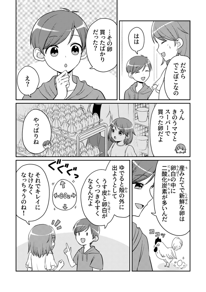 学習漫画「ゆで卵、むくとボロボロになるのはなぜ？」③