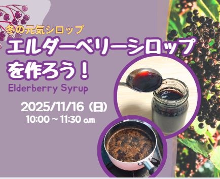 【活動紹介】家族の冬の備えに：エルダーベリーシロップ作り講座