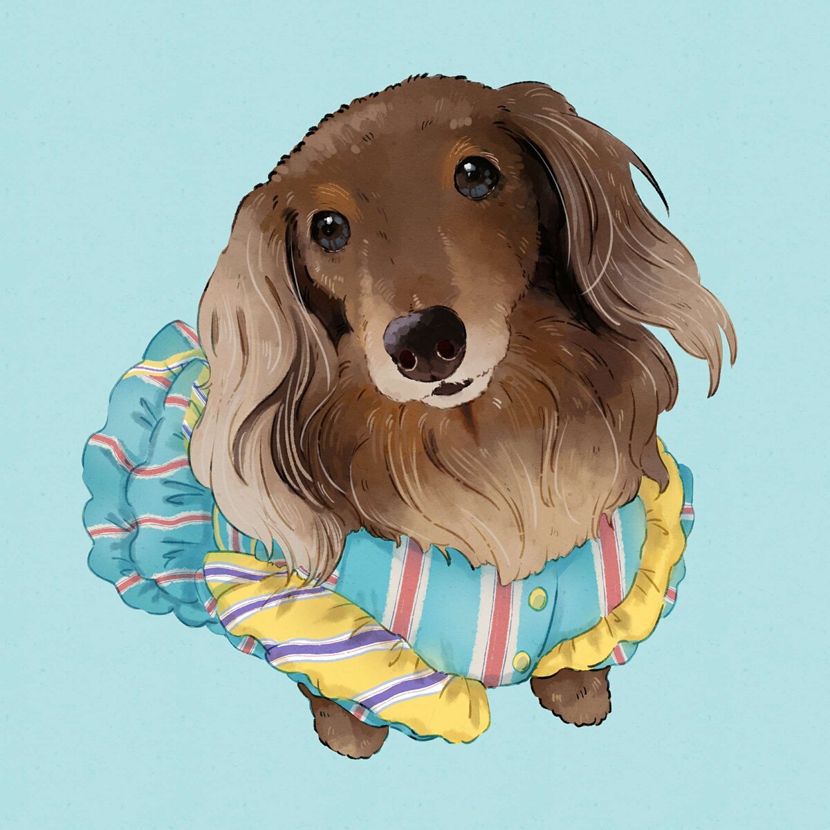 ダックスフンドのリアルイラスト