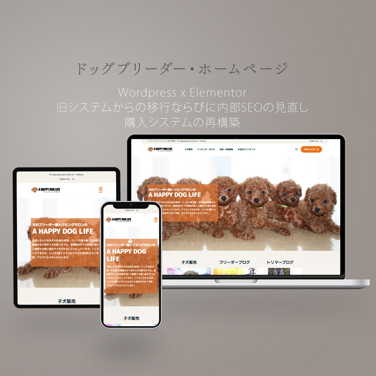 ドッグブリーダー様ホームページ制作およびシステムの見直し