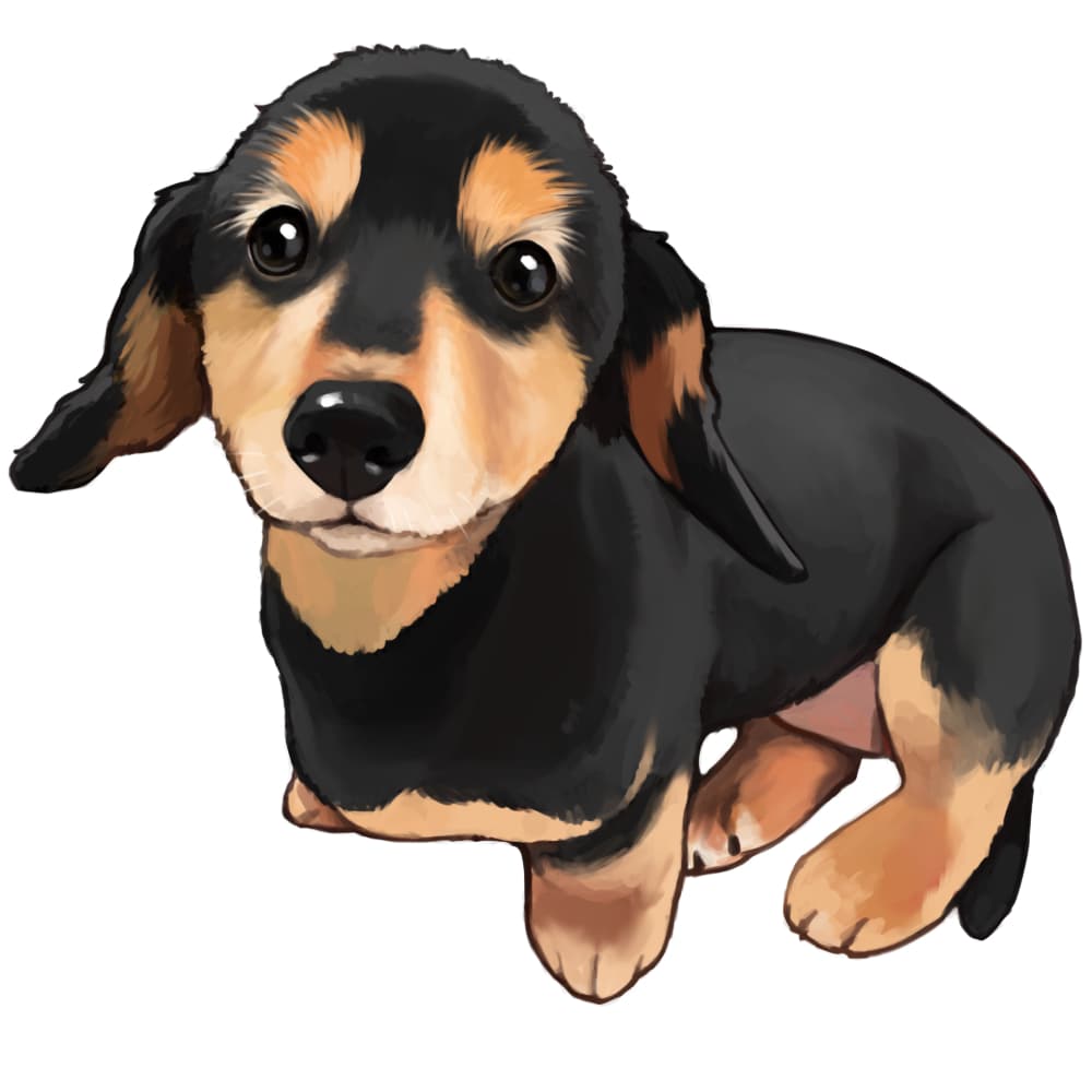 【原画】『ジュネリコ』（絵画　パステル画　犬　ミニチュアダックス　犬イラスト） ミニチュア・ダックスフンド インテリアアート インテリア雑貨