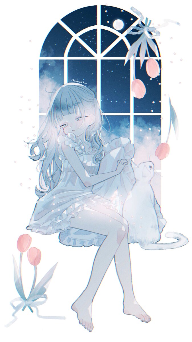 こんぺいとうと夜
