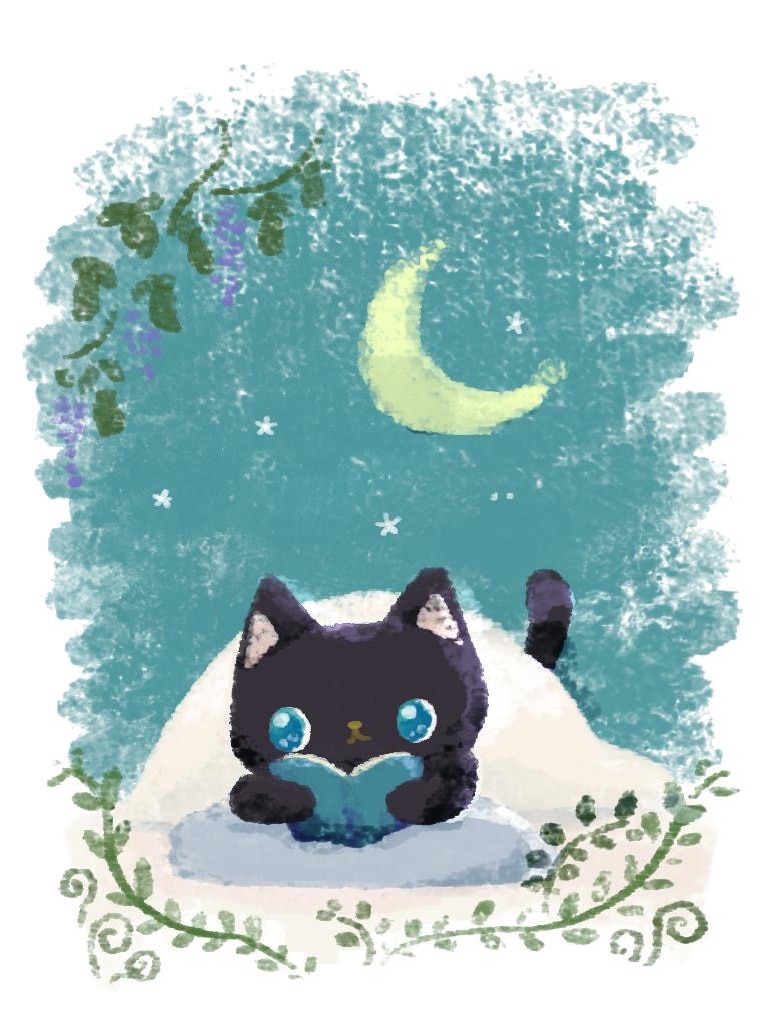 黒猫と夜読書