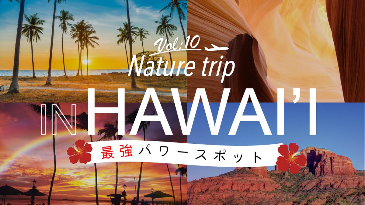 旅系c