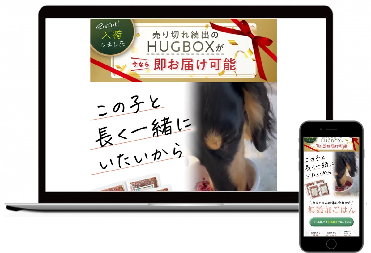 生肉ドッグフード「HUGBOX BLEND」　LPサイト制作