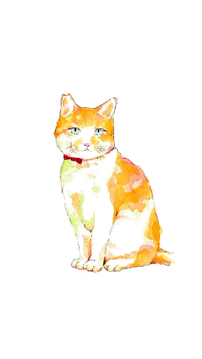 猫ちゃん