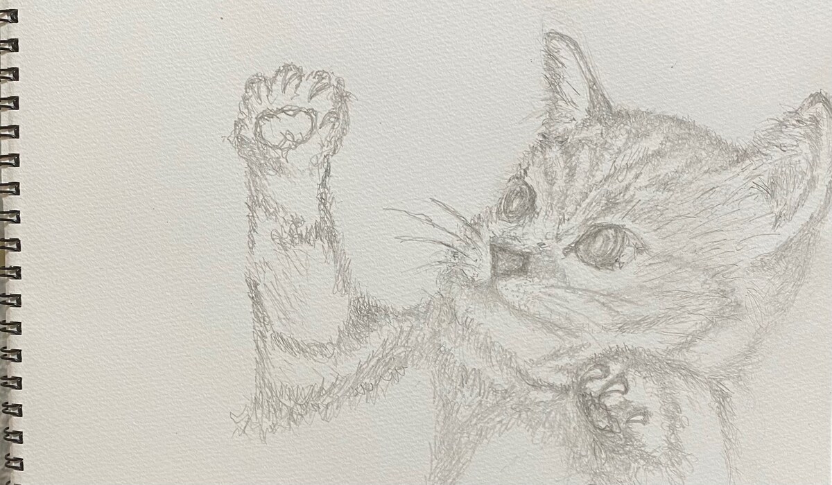 鉛筆画・イラスト…デザイン作成