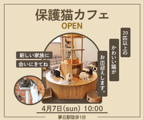 保護ねこカフェバナー