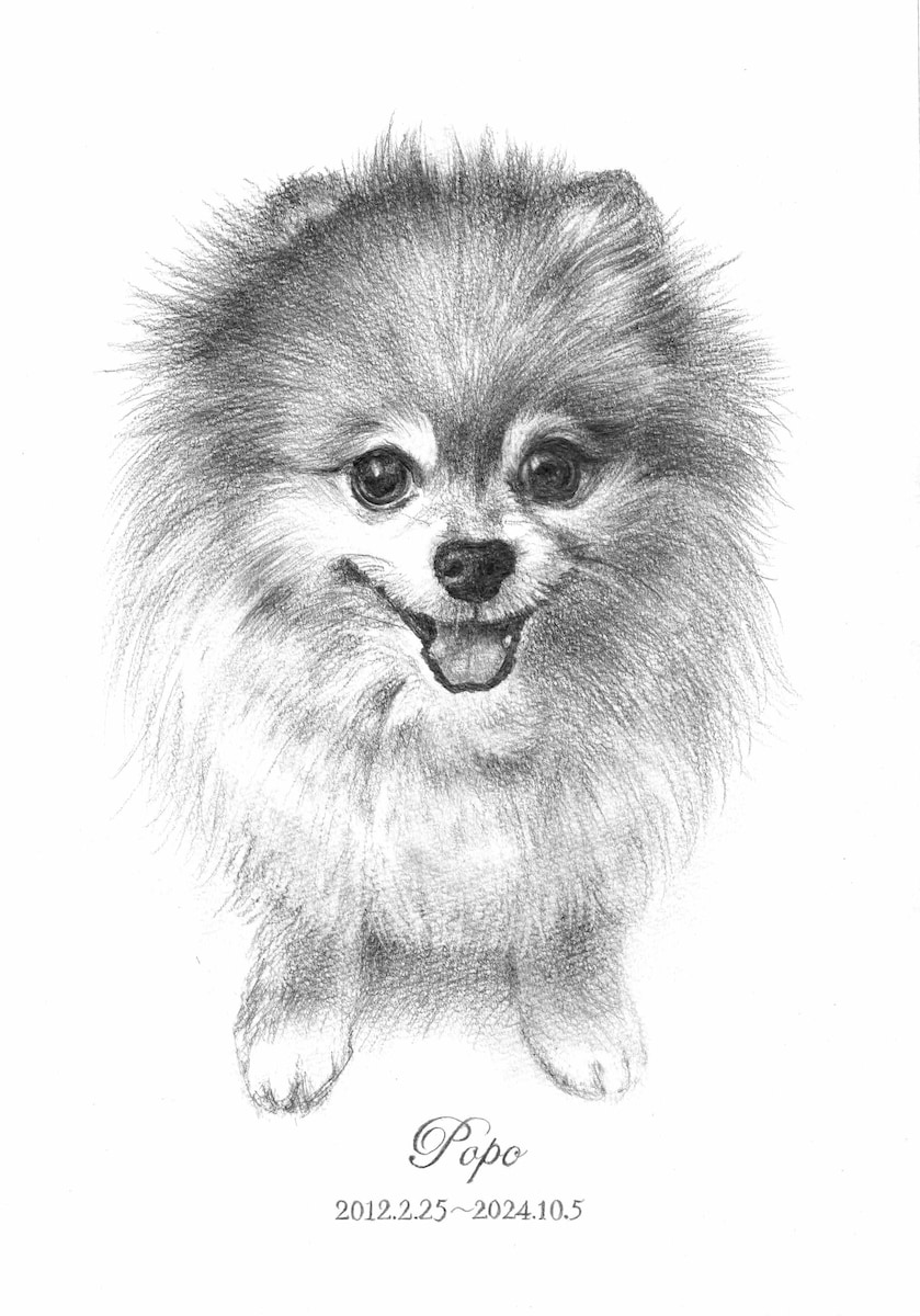 ペット鉛筆画