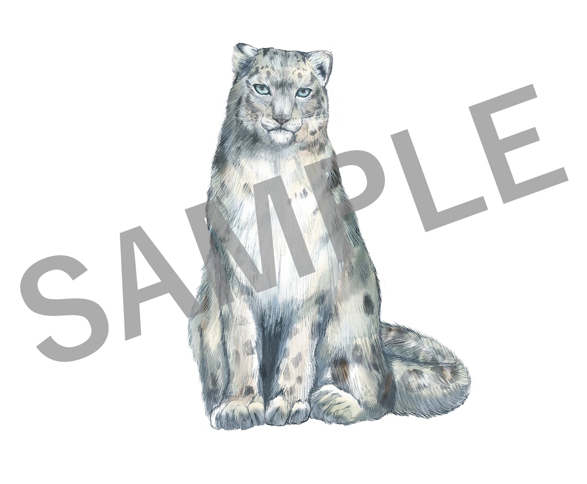 座ったユキヒョウのイラスト
