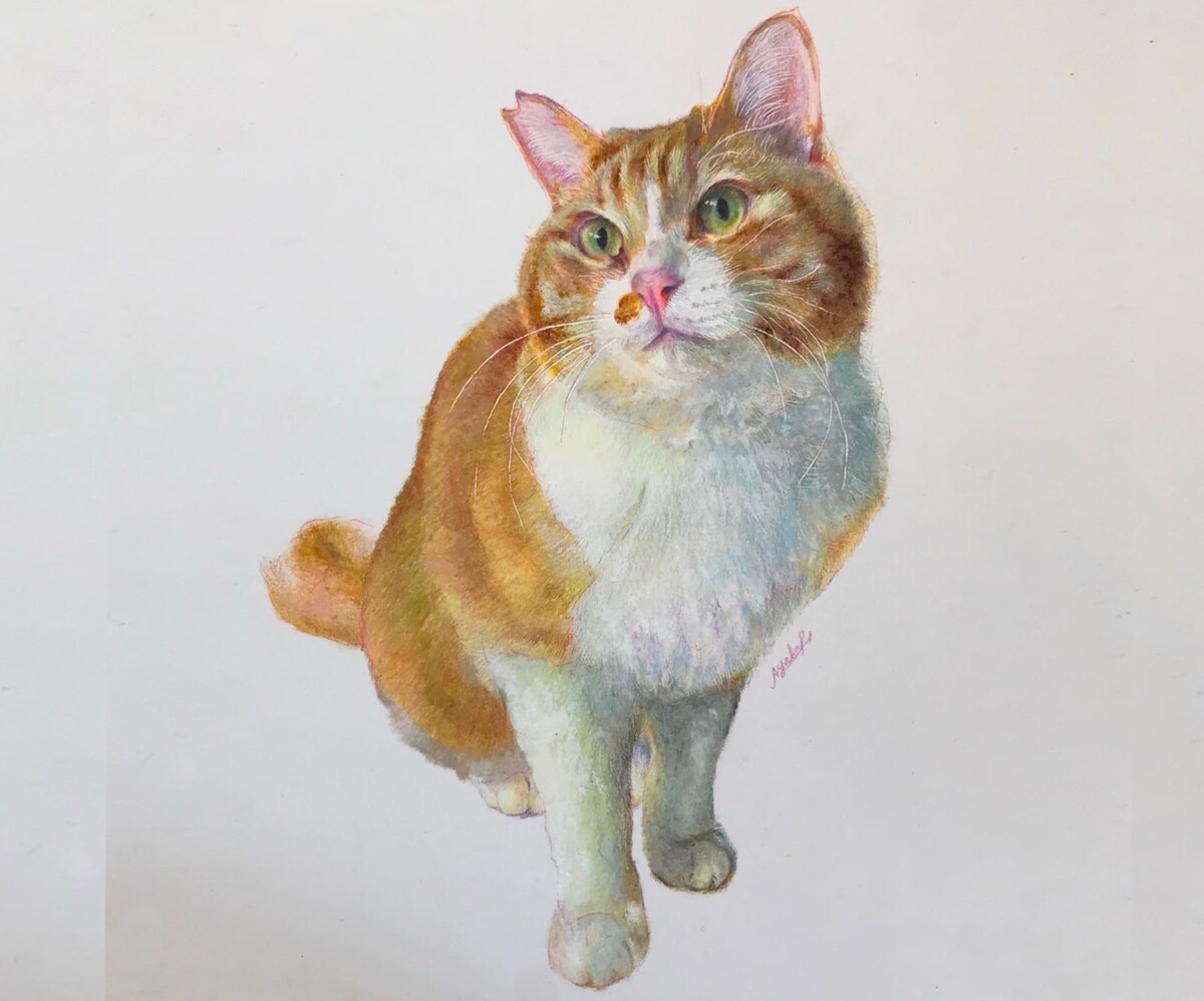 猫ちゃんの手描き肖像画