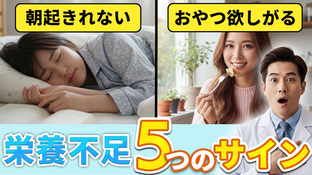 教育系サムネイル