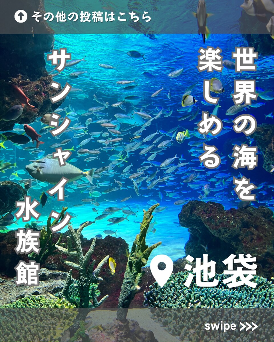 ポートフォリオ