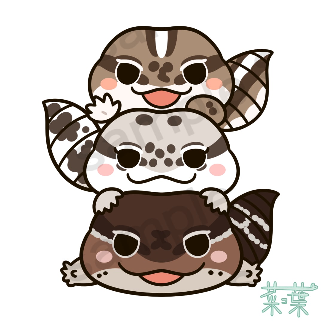 ヤモリさん（ニシアフリカトカゲモドキ）３兄妹