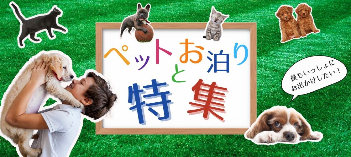 ペットと泊まれる宿の特集記事についてのヘッダー