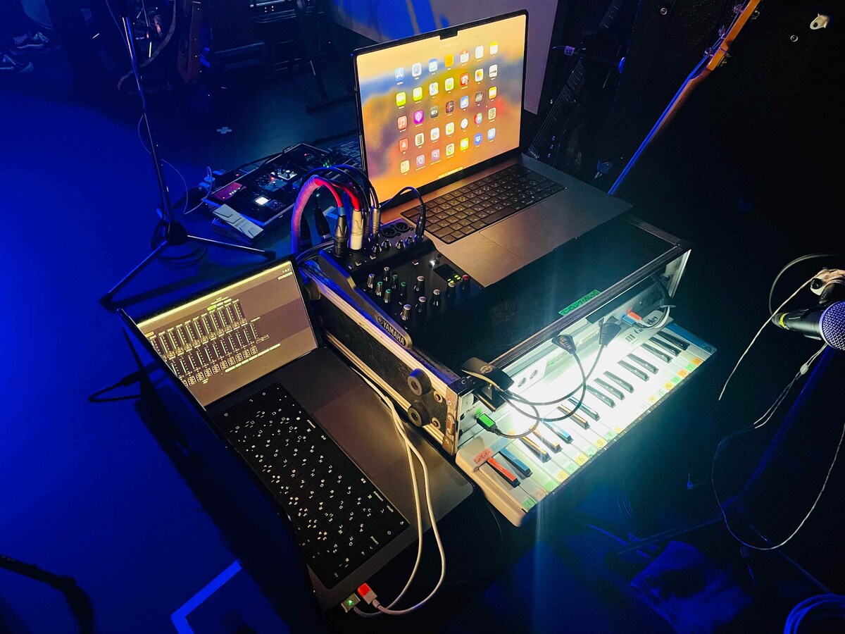 マニピュレーターとしてのライブサポート