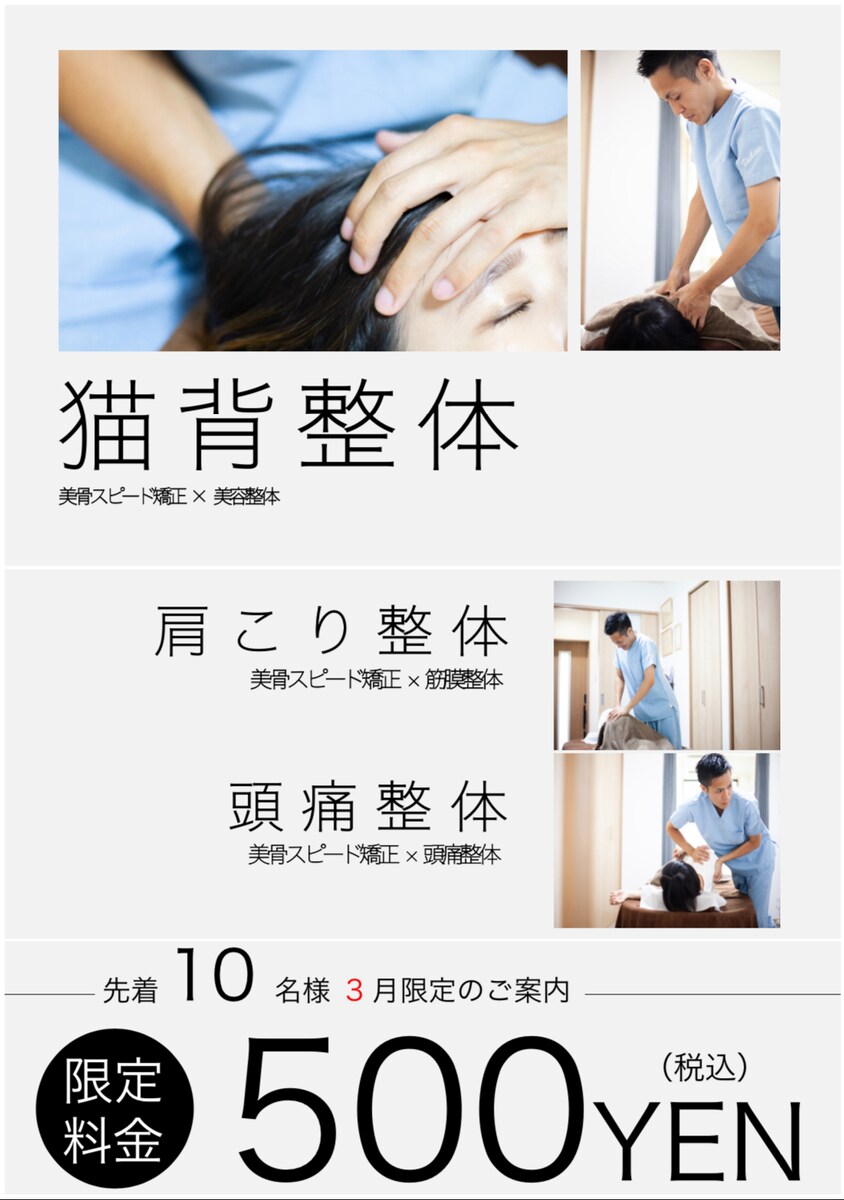 出品するチラシの一部内容です。