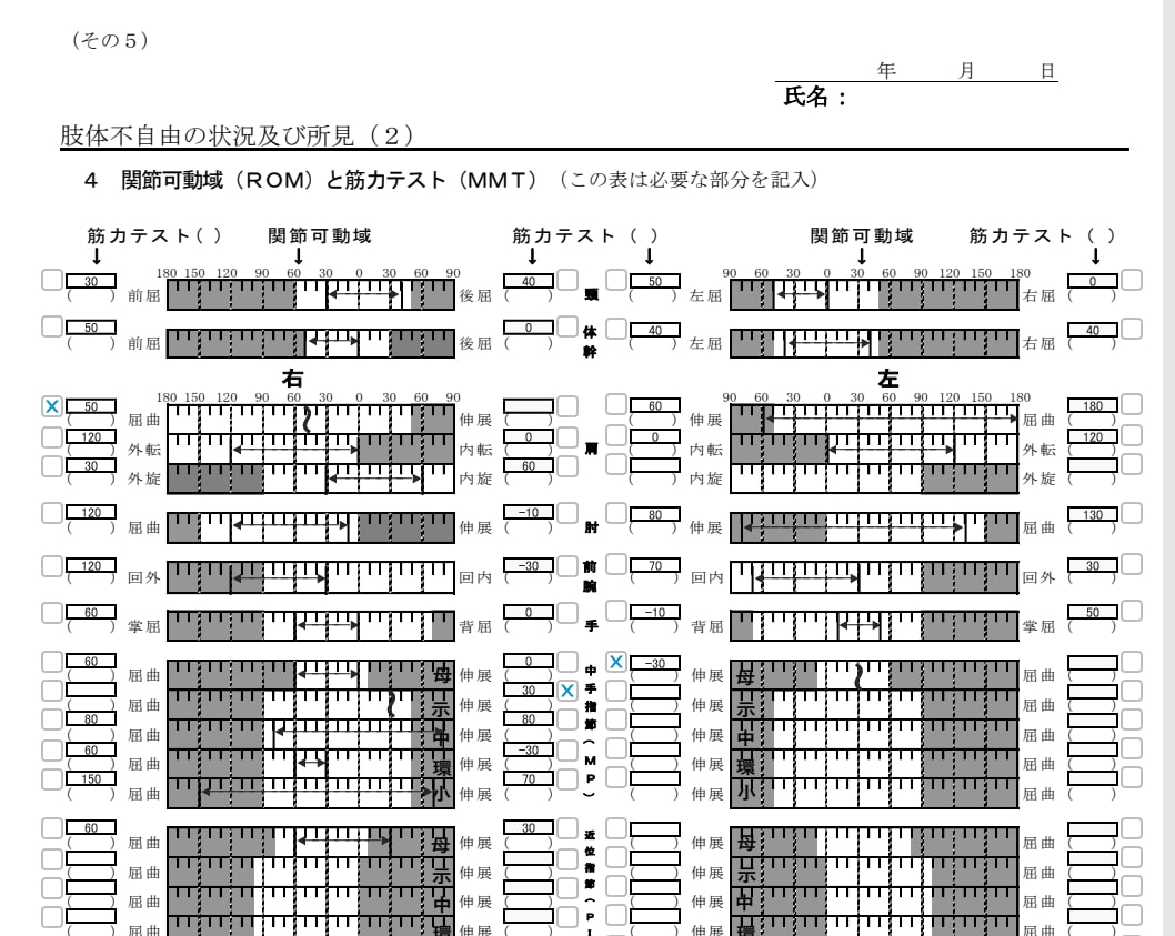 関節可動域 (ROM) と筋力テスト (MMT)