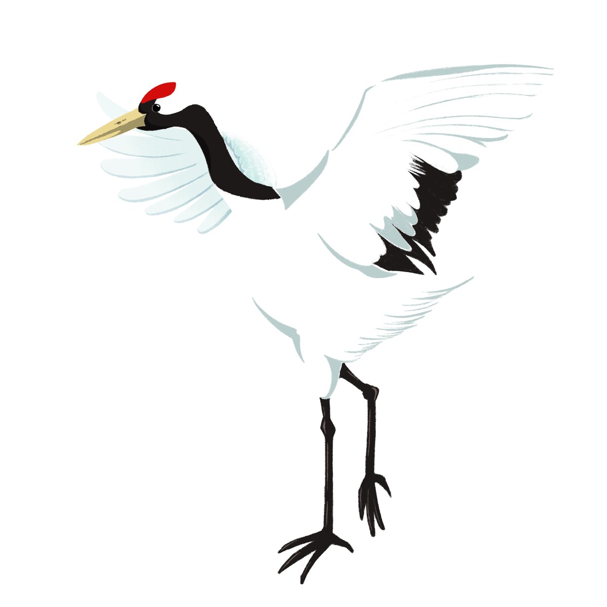 イラスト素材 タンチョウ