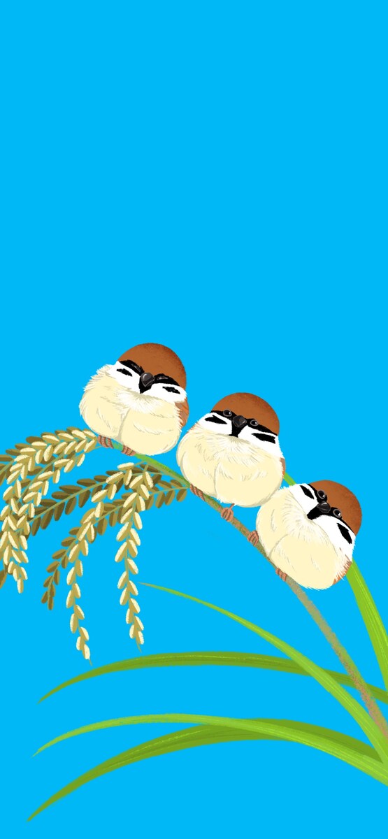 壁紙作成 スズメ